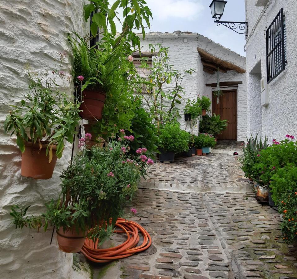 Casa Martina Pampaneira Apartment Exterior photo